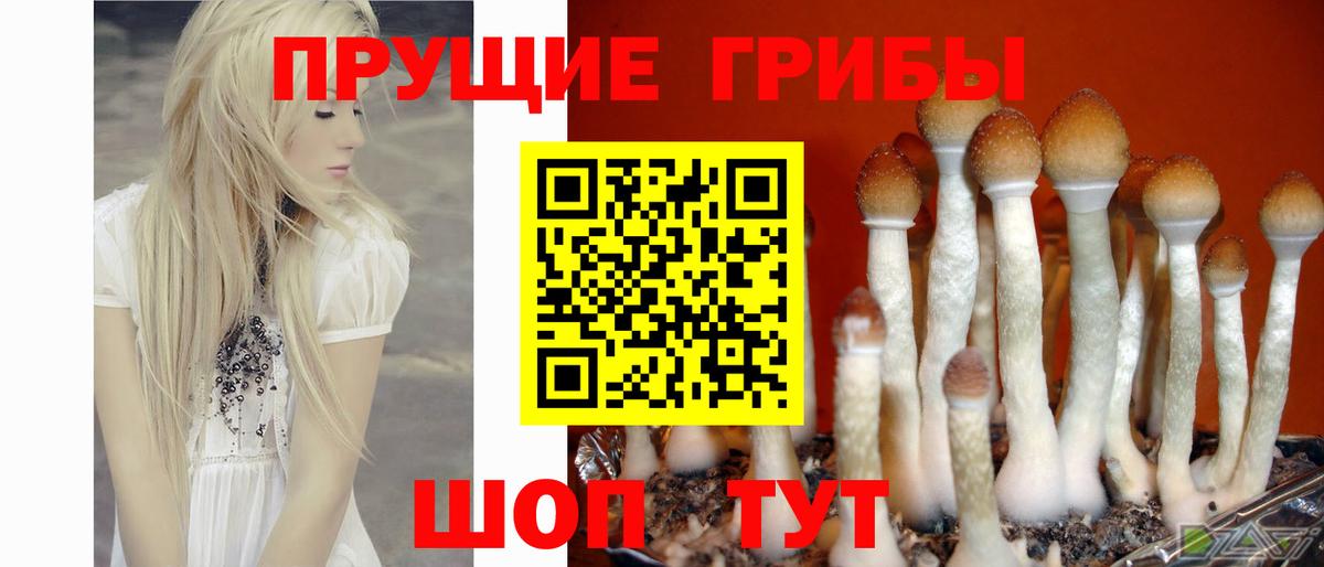 Кореновск  Галлюциногенные грибы мухоморы  Вход с VPN 